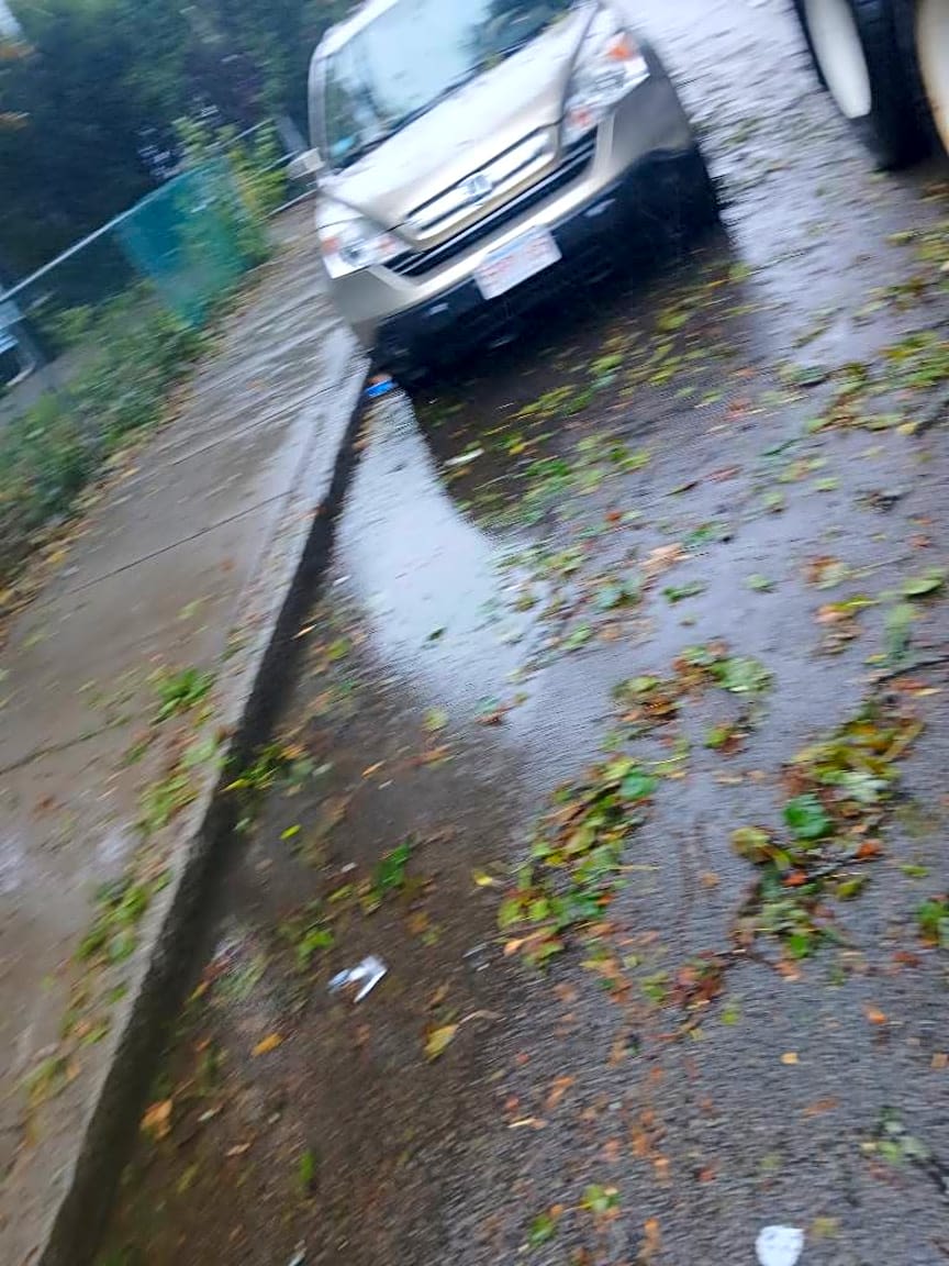 Image submitted with report