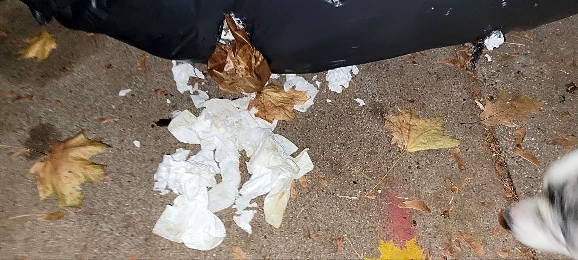 Image submitted with report
