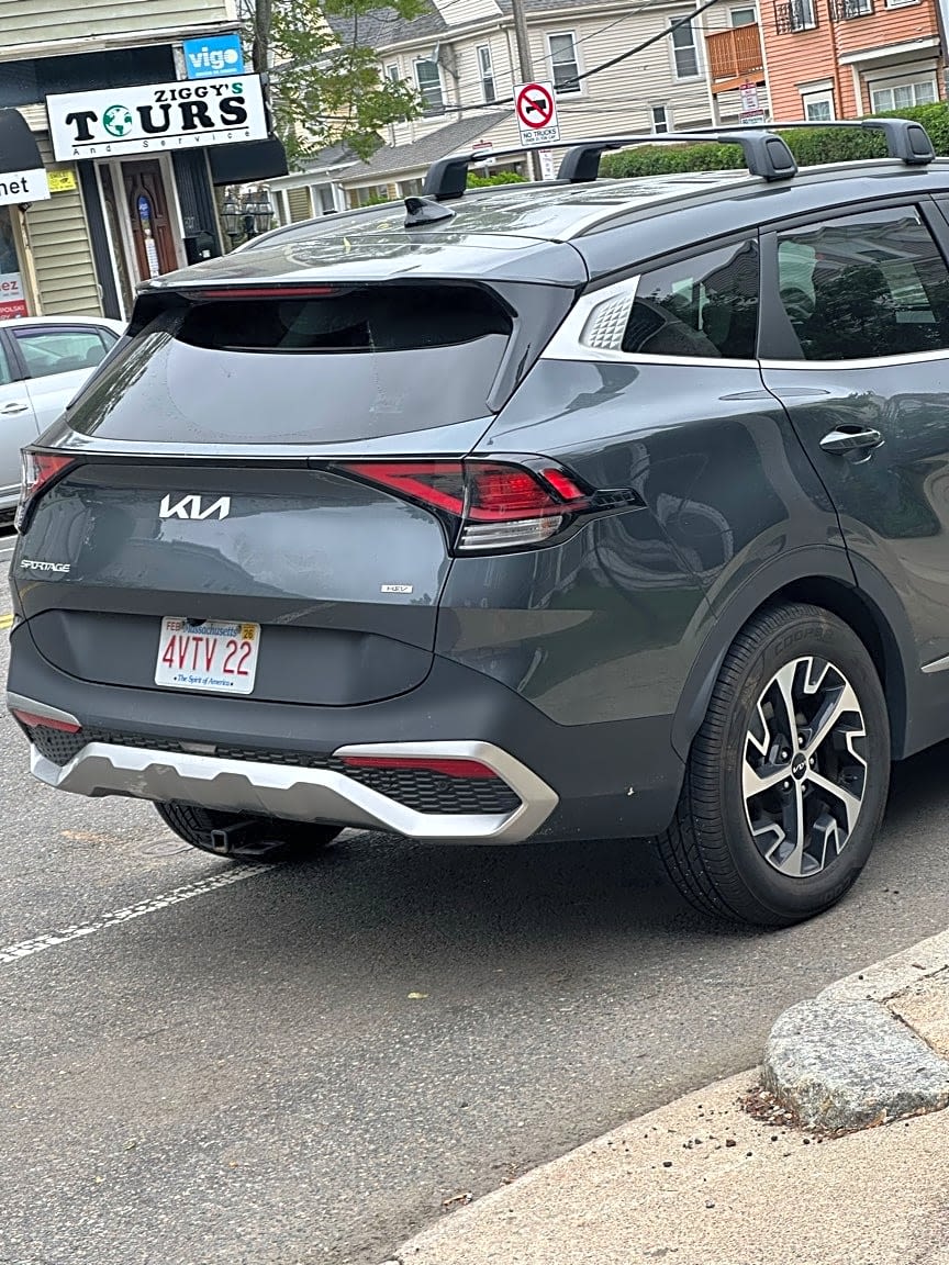 Image submitted with report