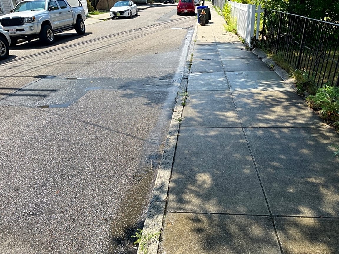 Image submitted with report