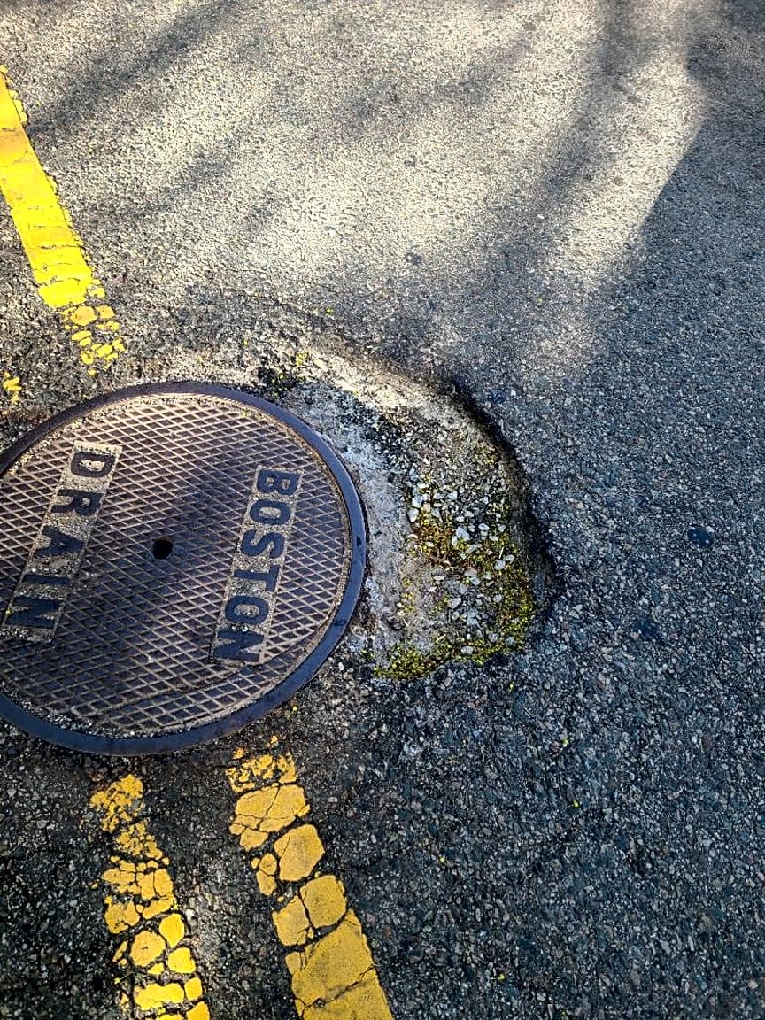 Image submitted with report