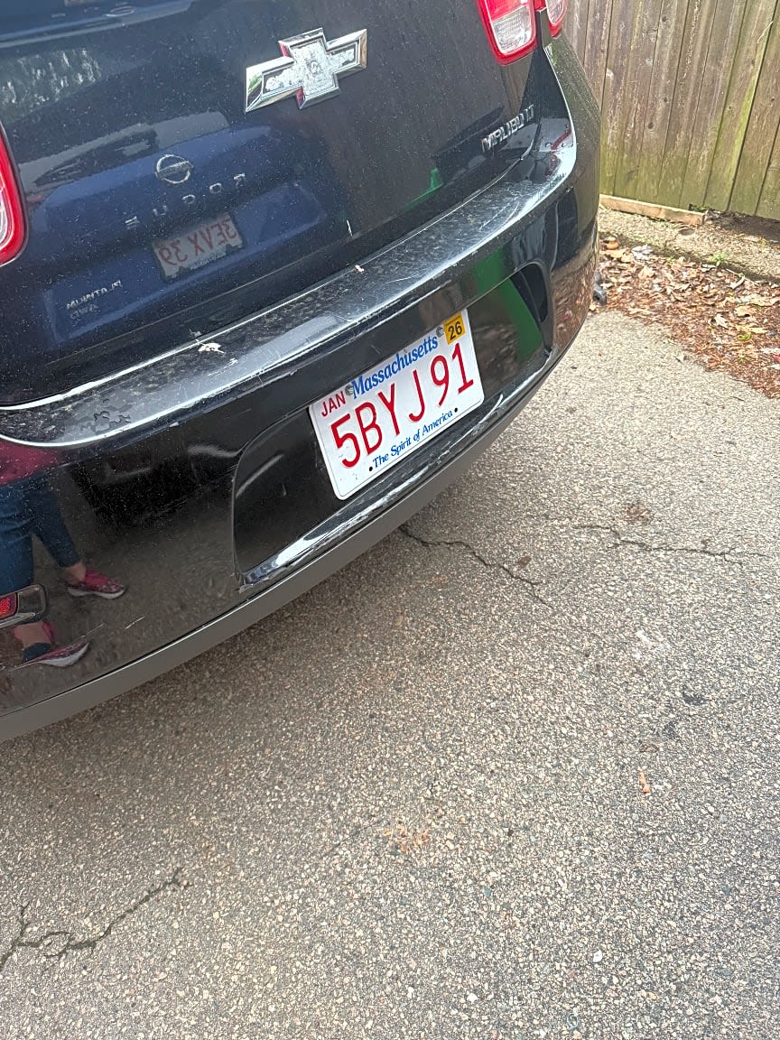 Image submitted with report