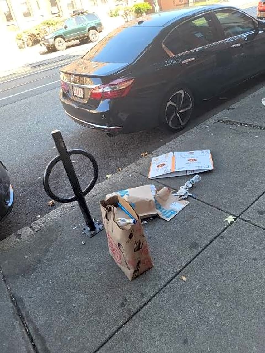 Image submitted with report