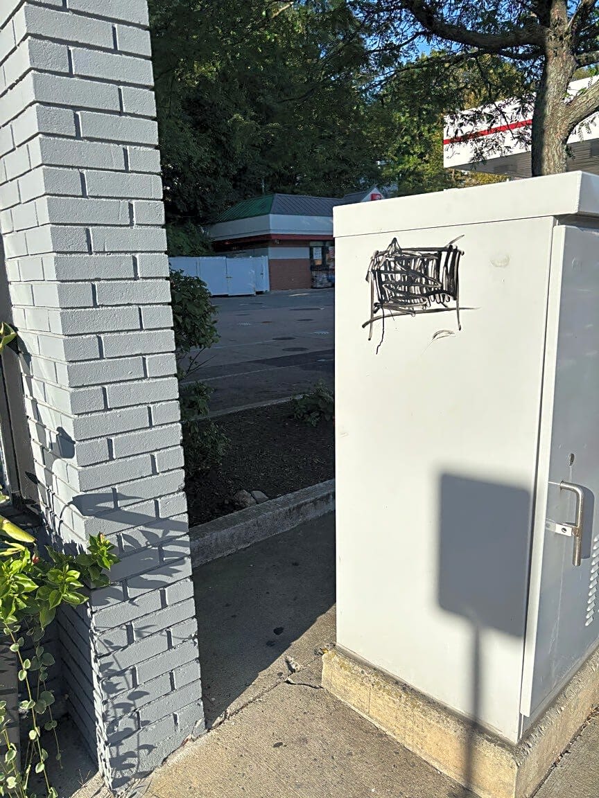 Image submitted with report