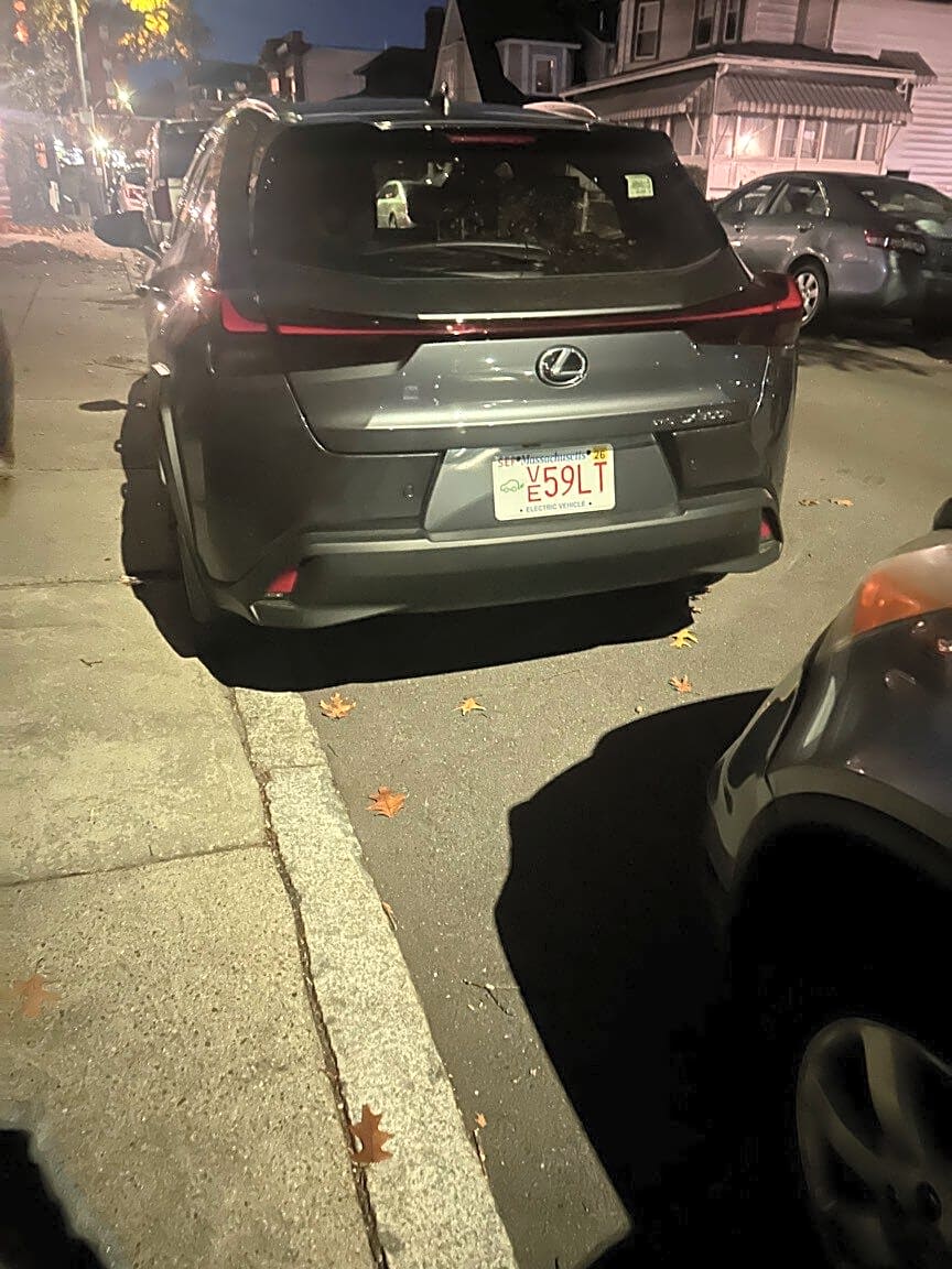 Image submitted with report