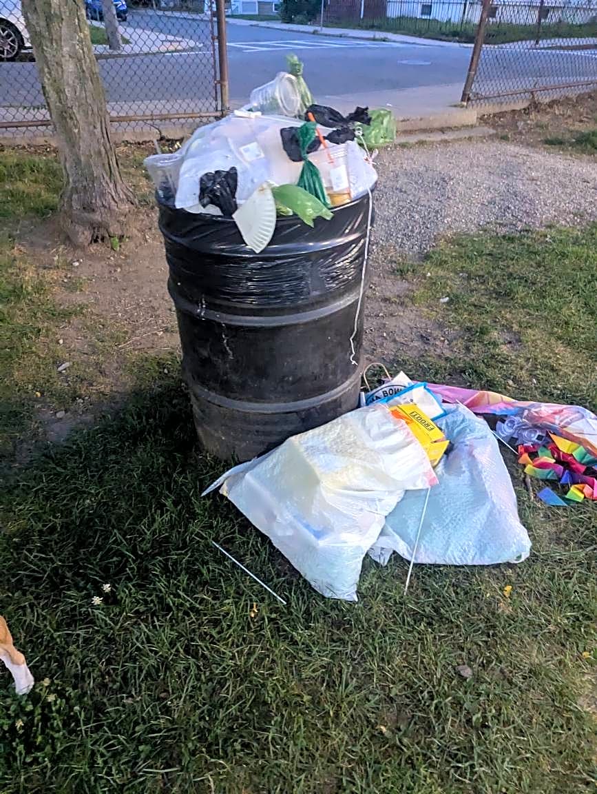 Image submitted with report