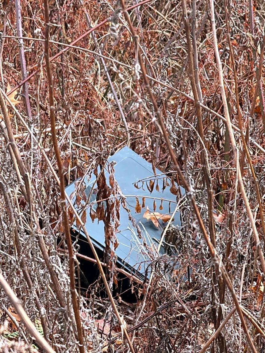 Image submitted with report