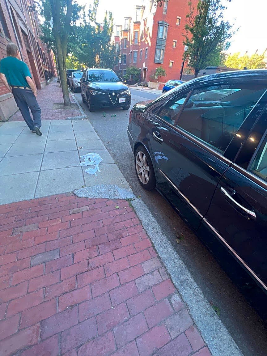 Image submitted with report