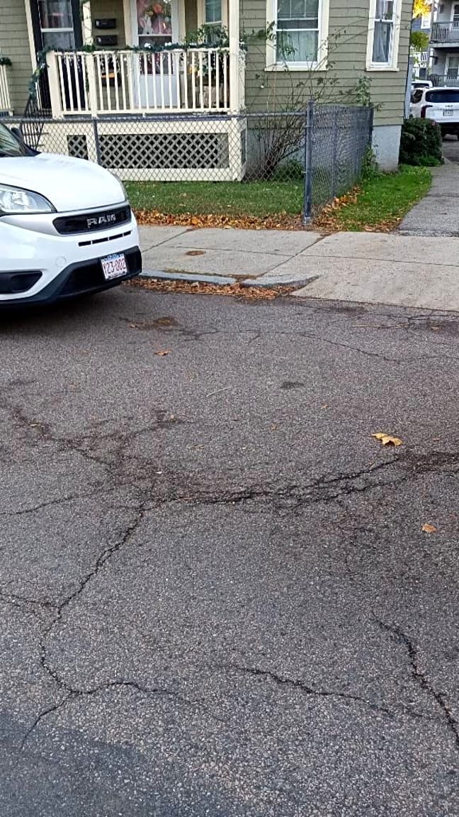 Image submitted with report