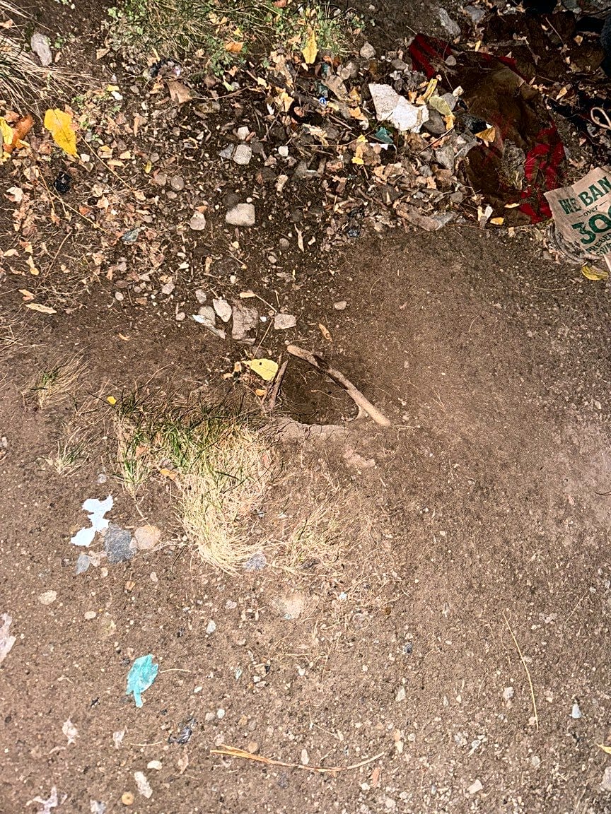 Image submitted with report