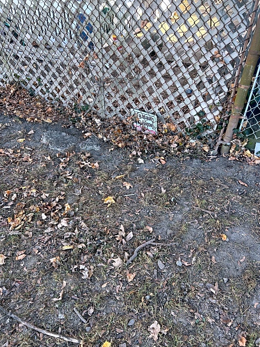 Image submitted with report