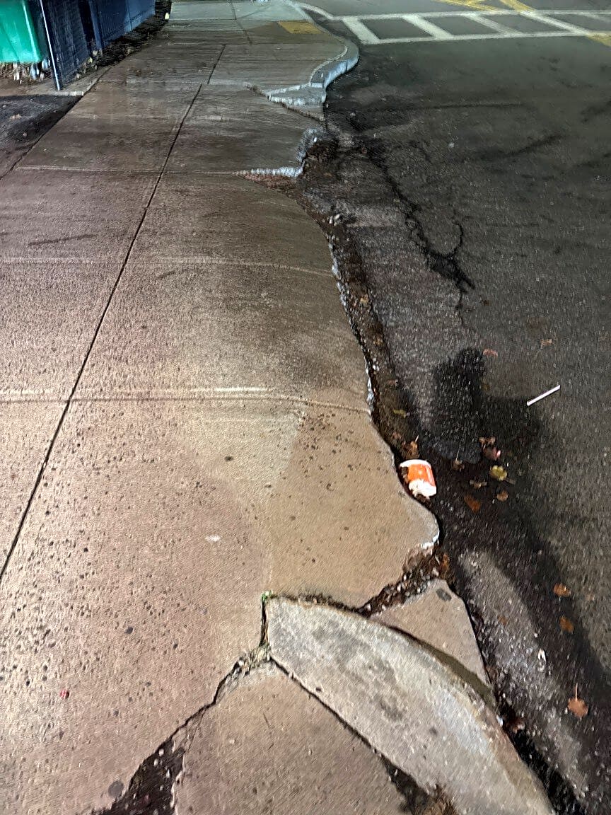 Image submitted with report