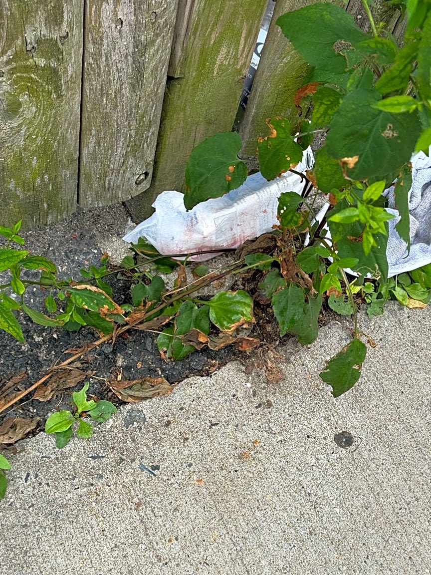 Image submitted with report