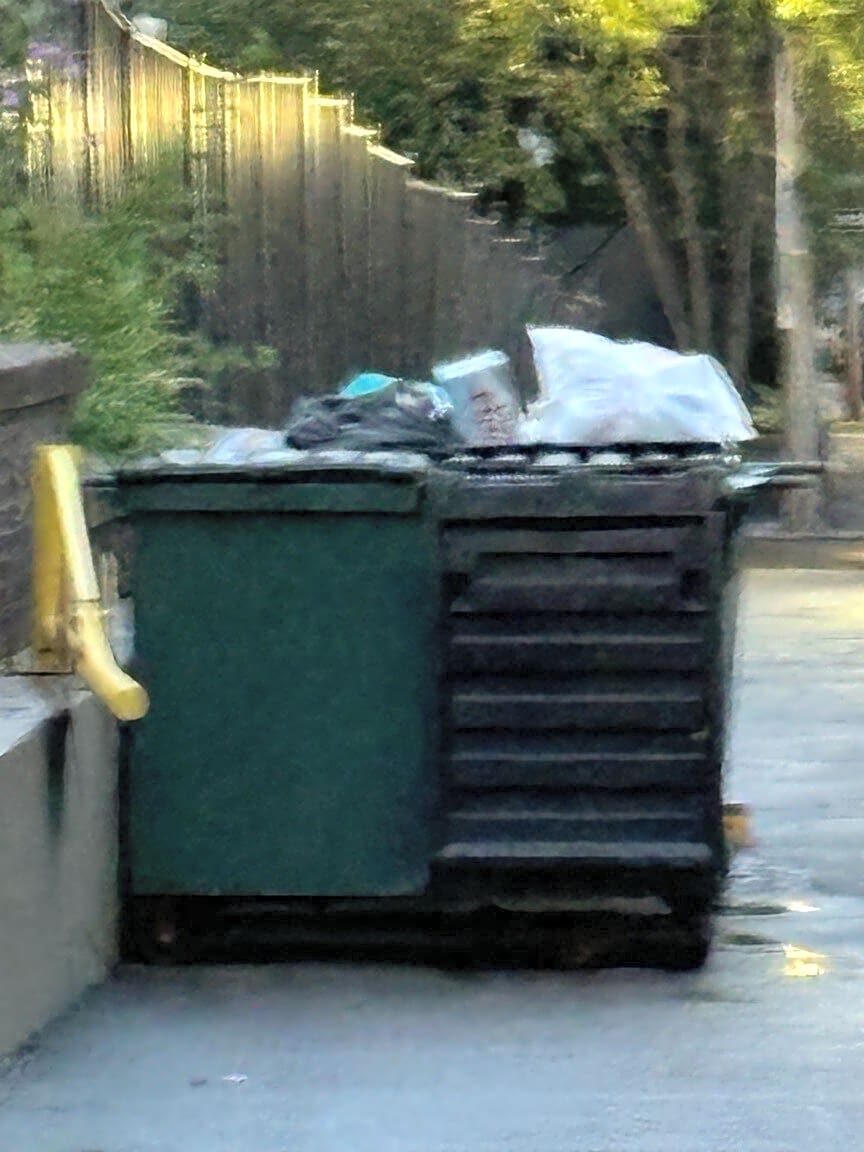 Image submitted with report