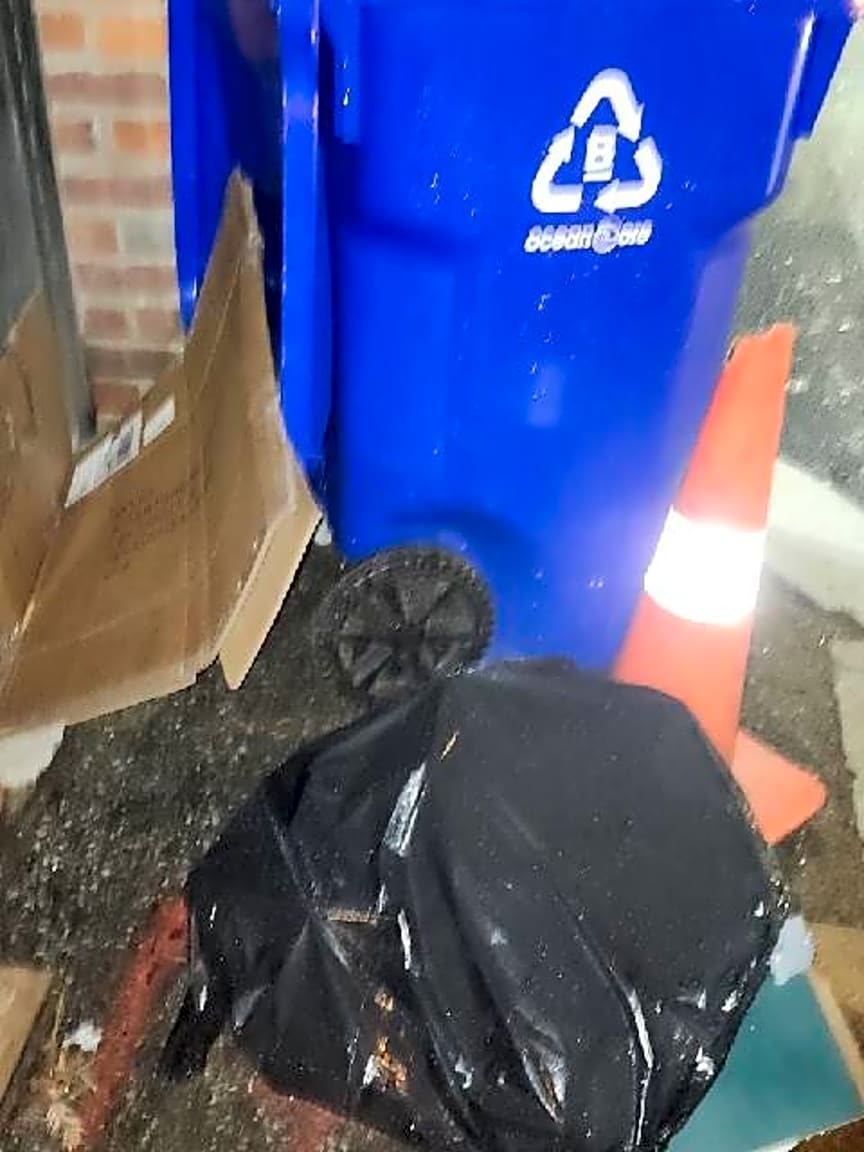 Image submitted with report