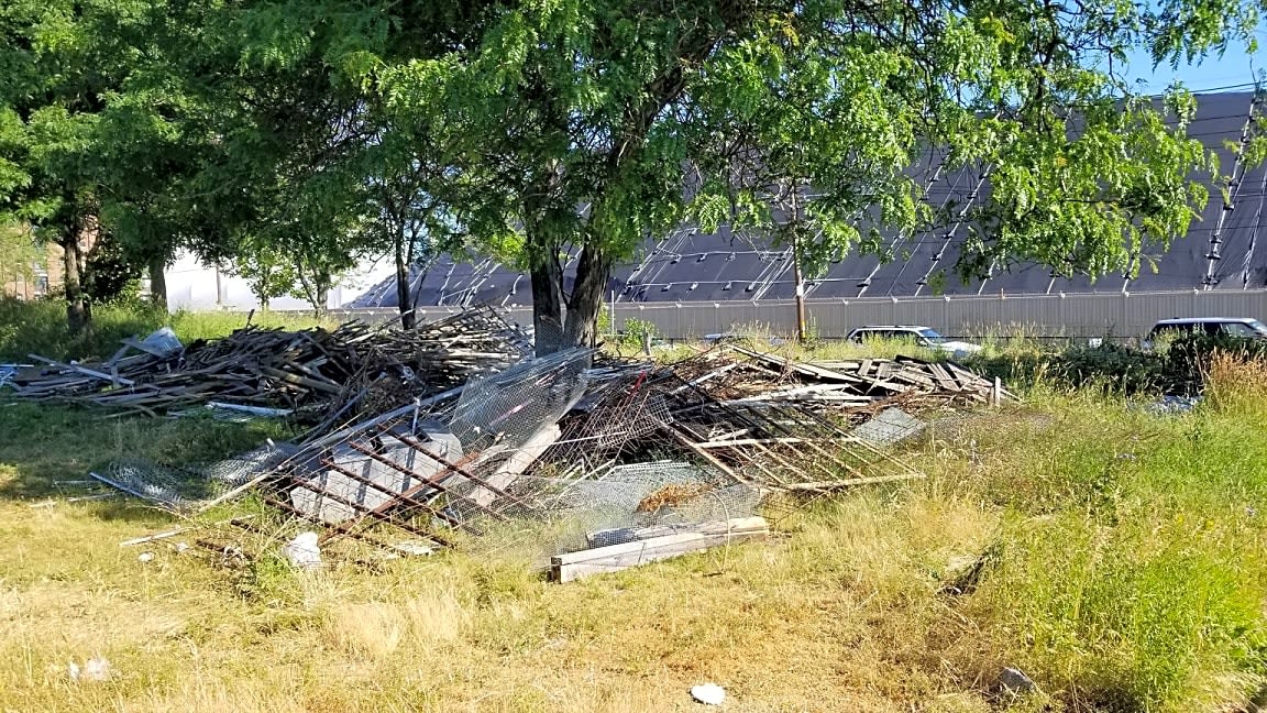 Image submitted with report