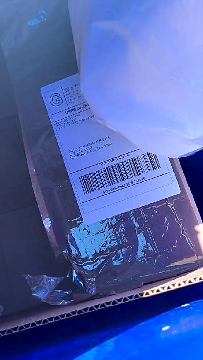 Image submitted with report