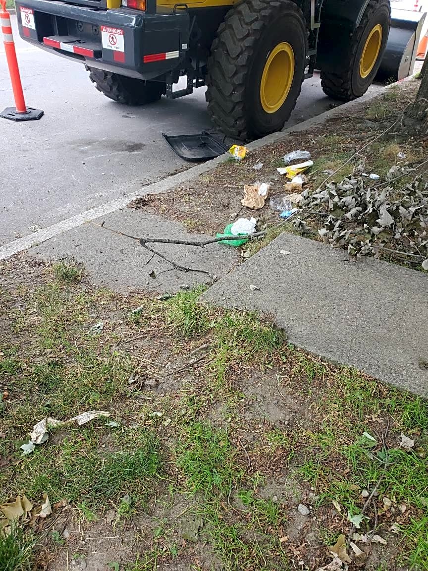 Image submitted with report