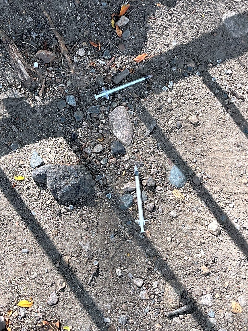 Image submitted with report