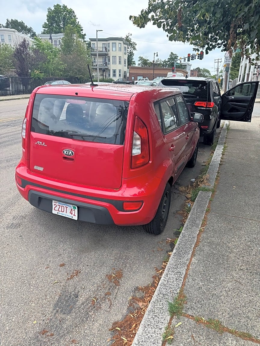 Image submitted with report