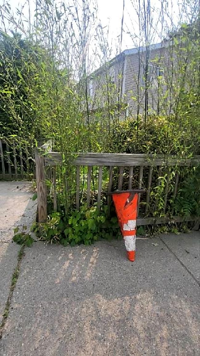 Image submitted with report