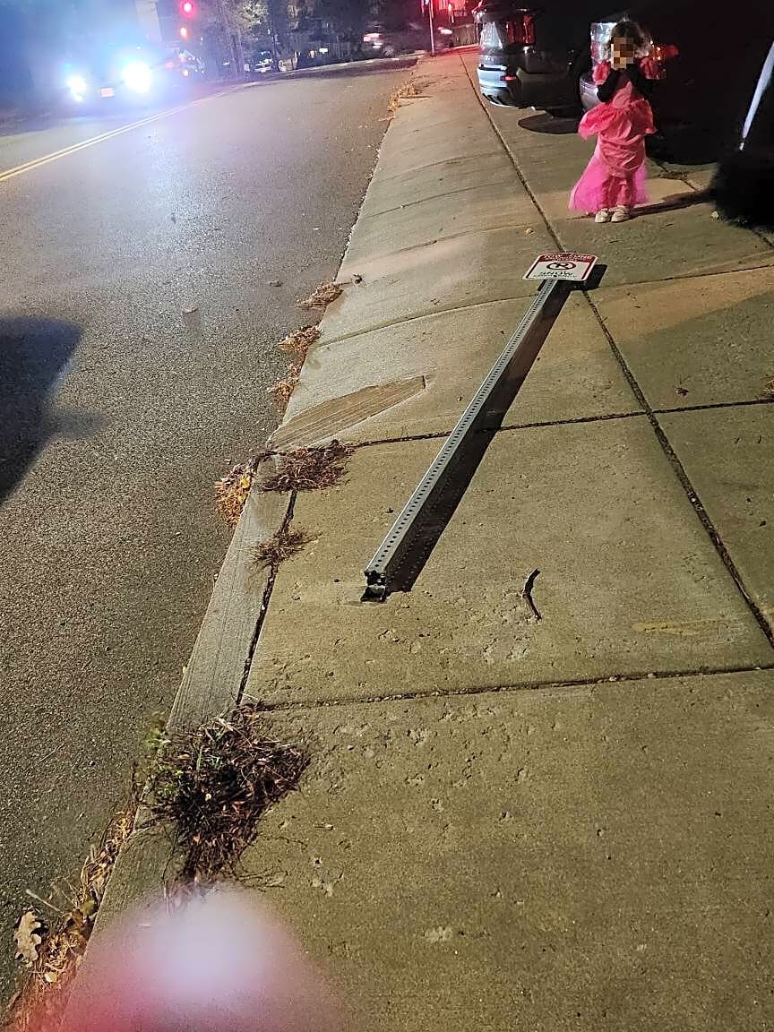 Image submitted with report