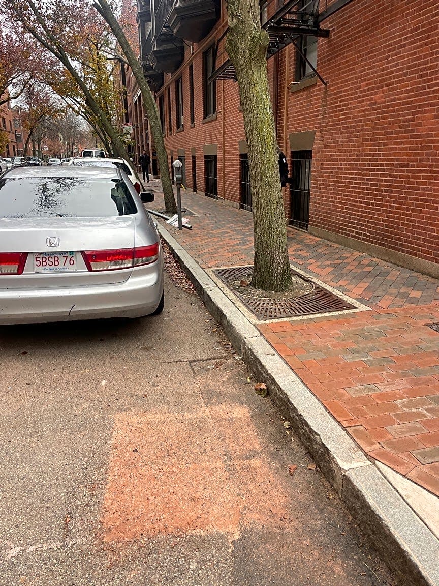 Image submitted with report