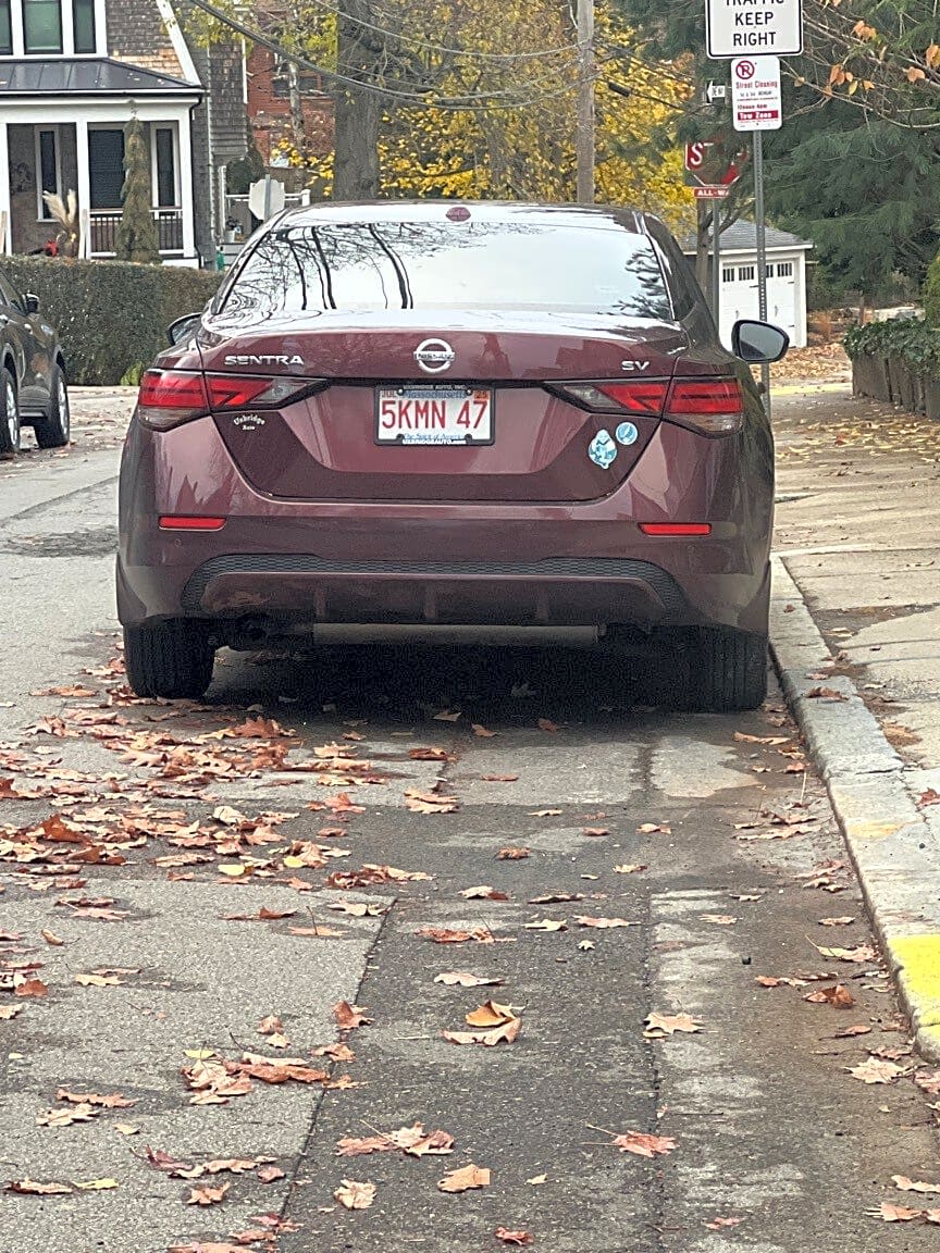 Image submitted with report