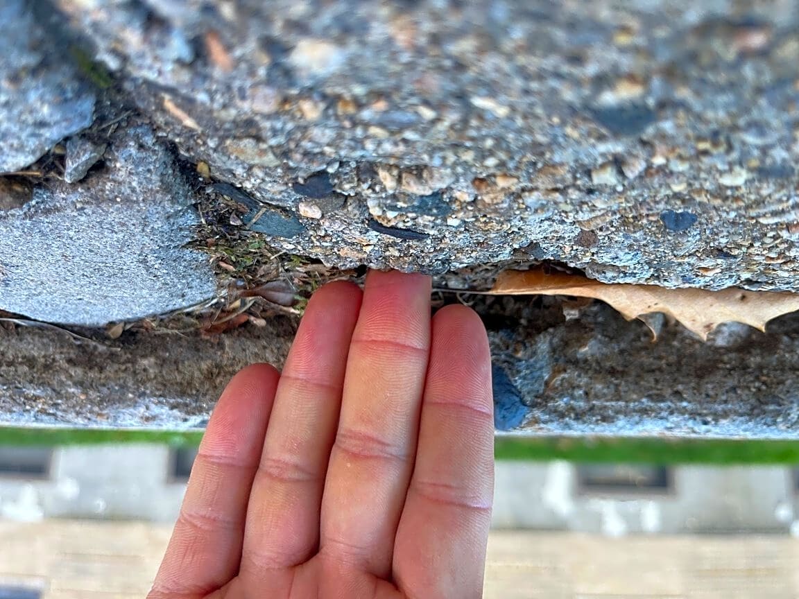 Image submitted with report