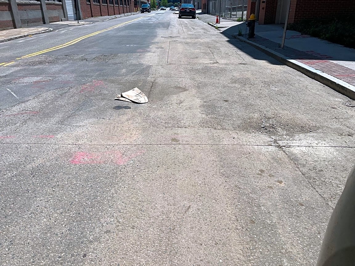 Image submitted with report