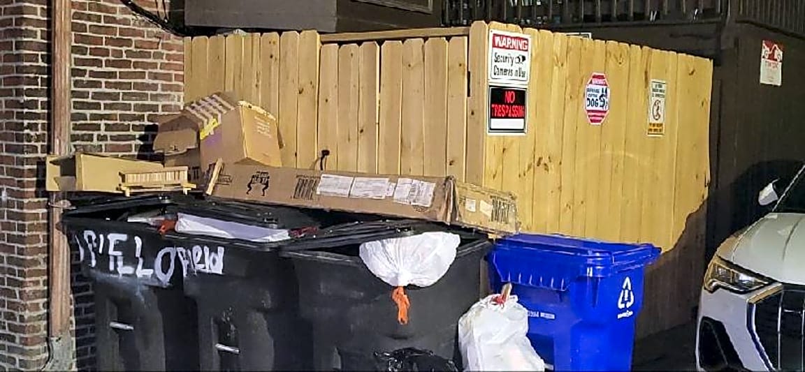 Image submitted with report