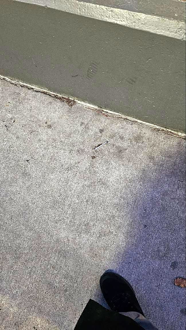 Image submitted with report