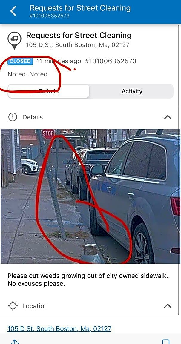 Image submitted with report