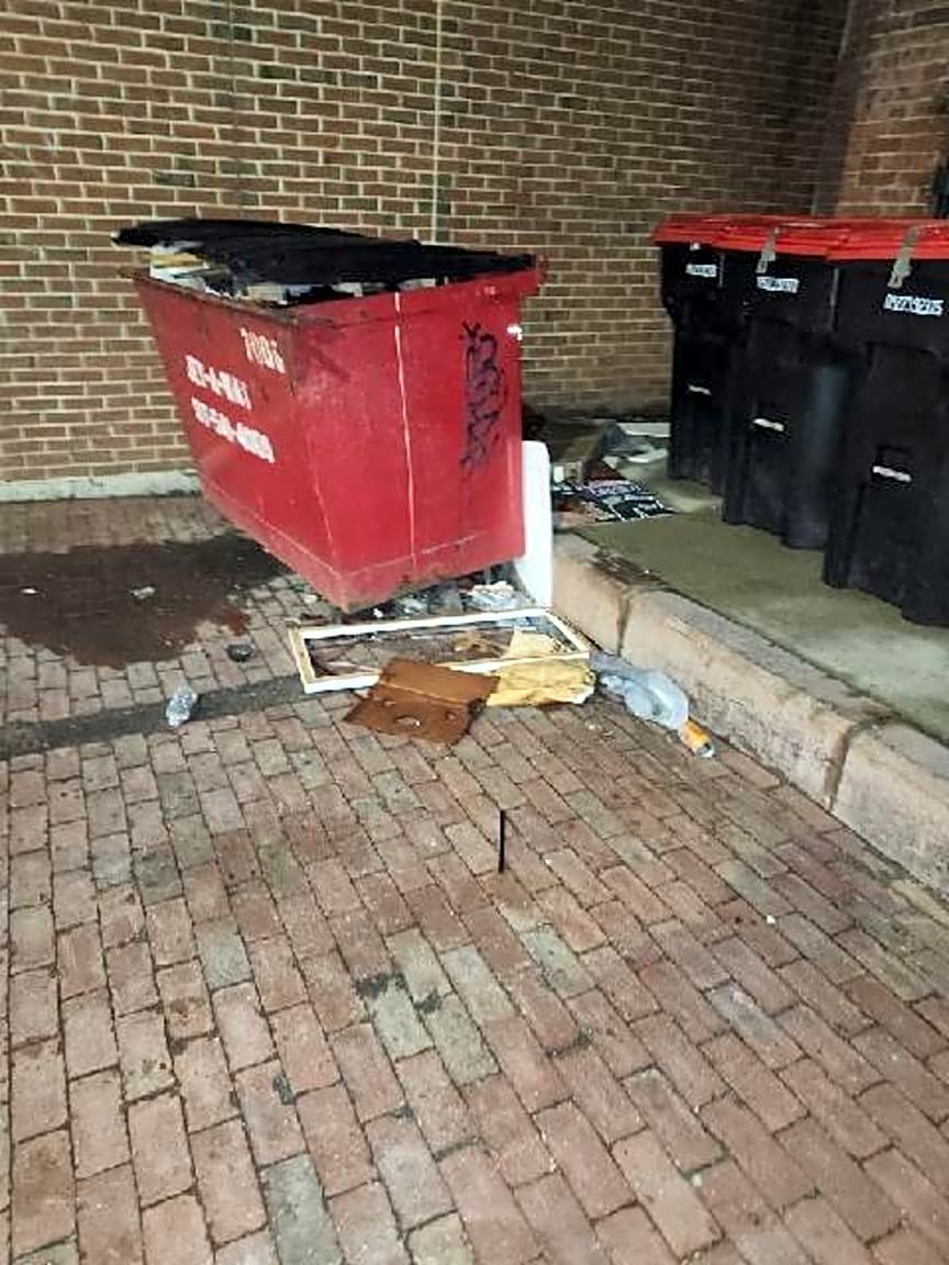 Image submitted with report