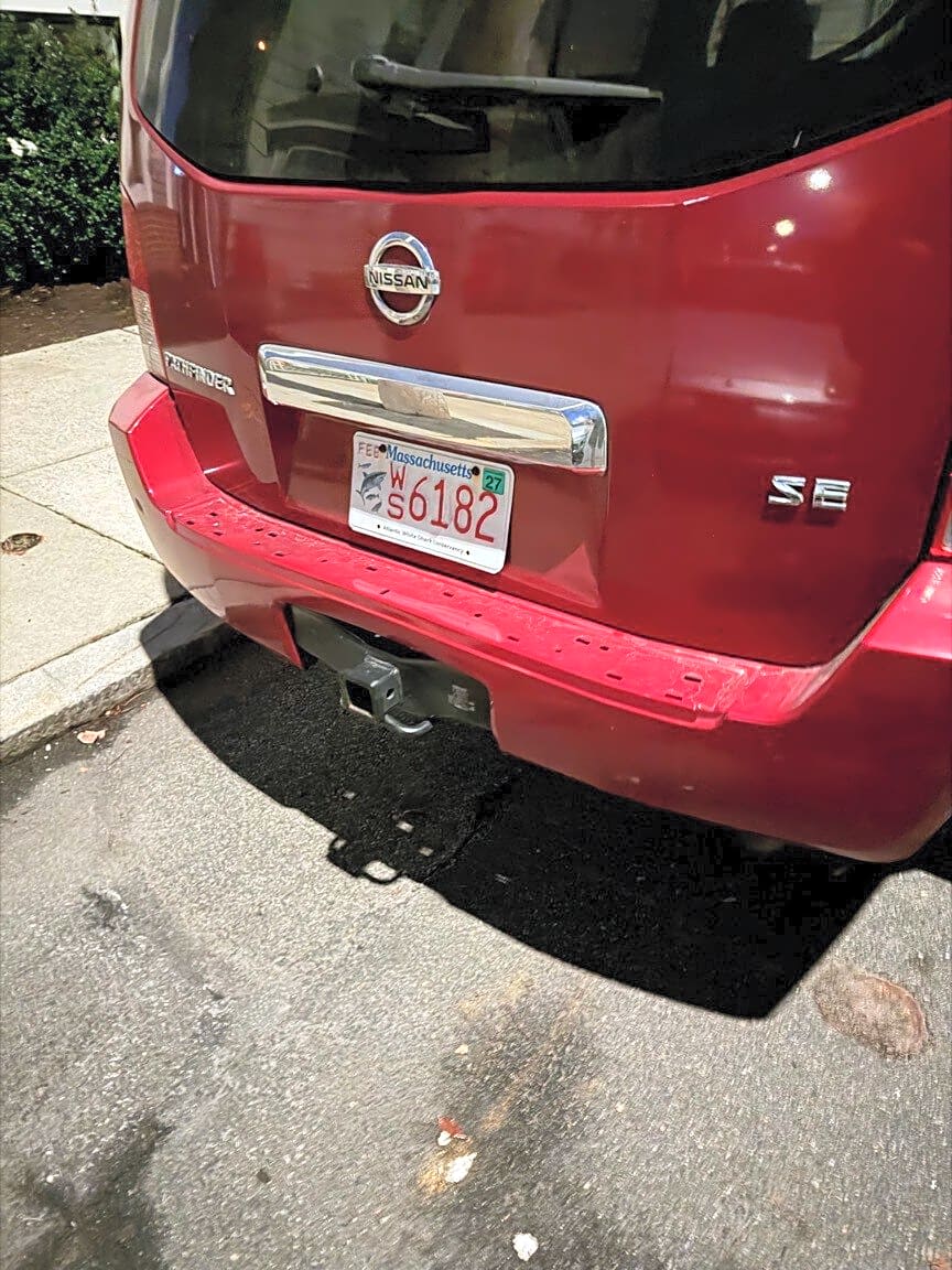 Image submitted with report