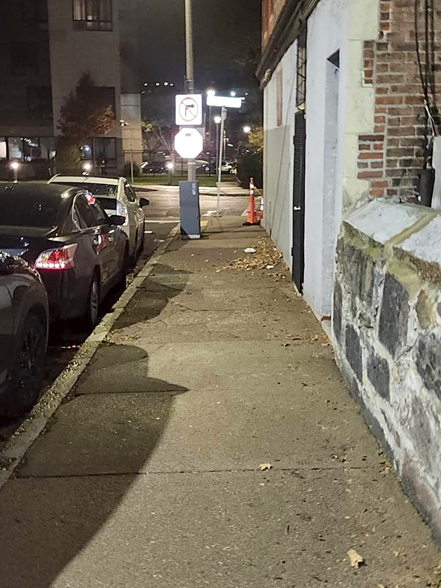 Image submitted with report