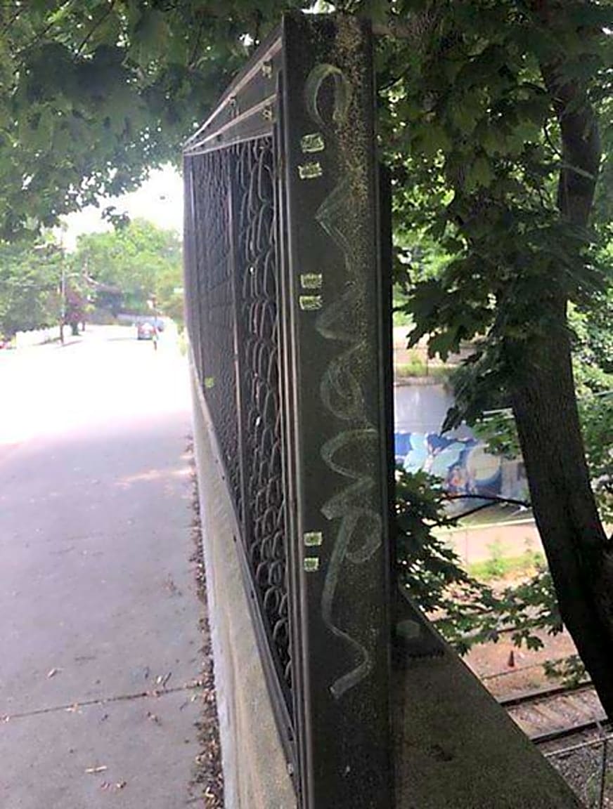 Image submitted with report