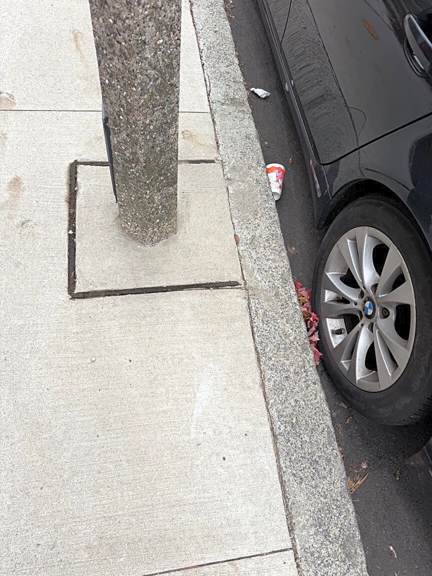 Image submitted with report