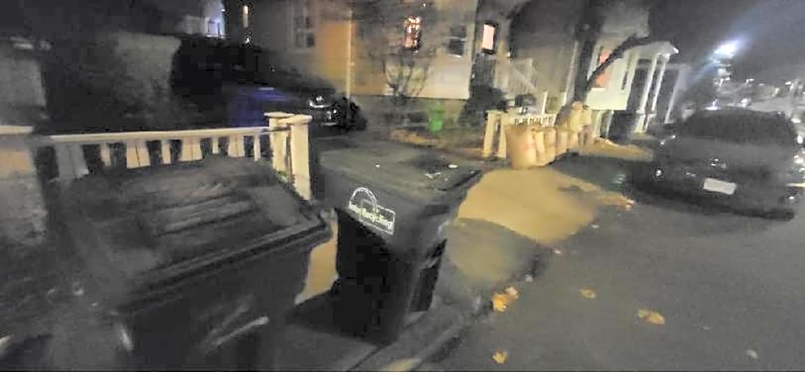 Image submitted with report