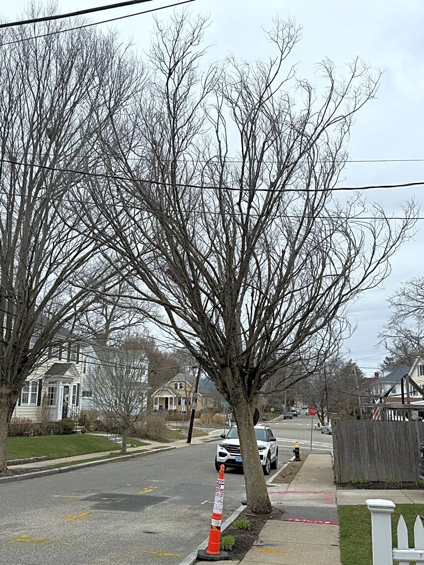 Boston