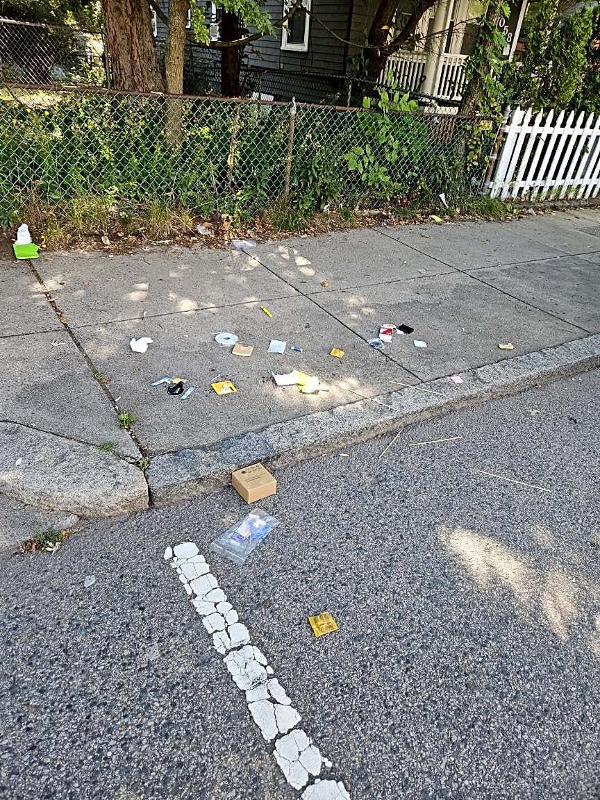 Image submitted with report