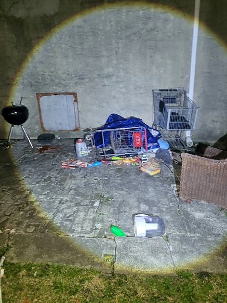 Image submitted with report