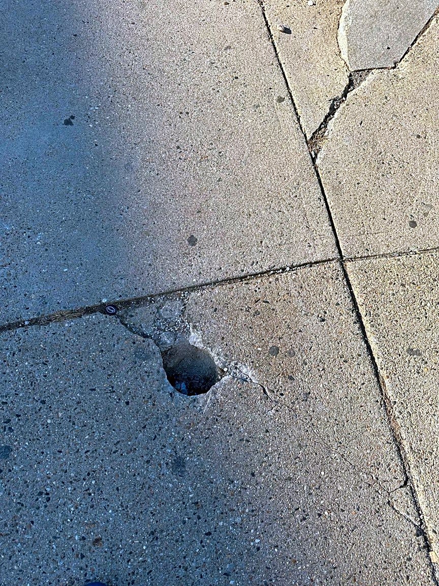 Image submitted with report