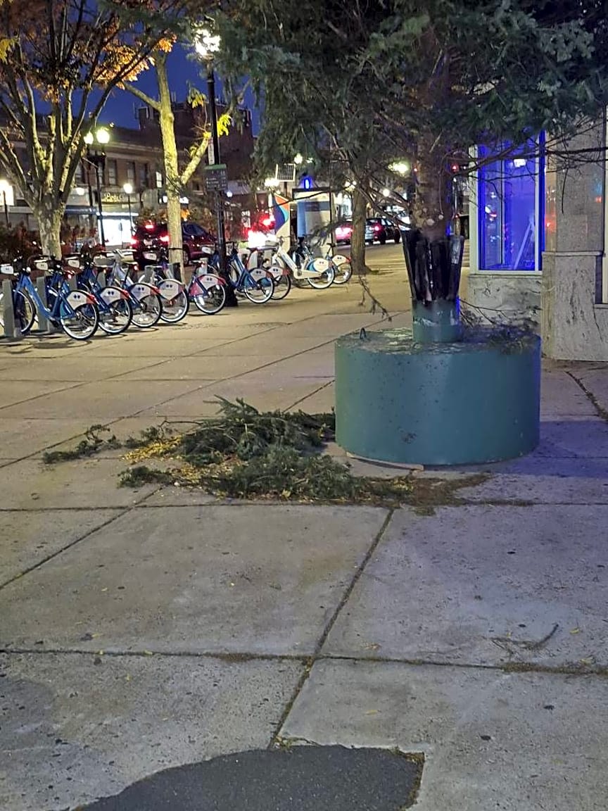 Image submitted with report