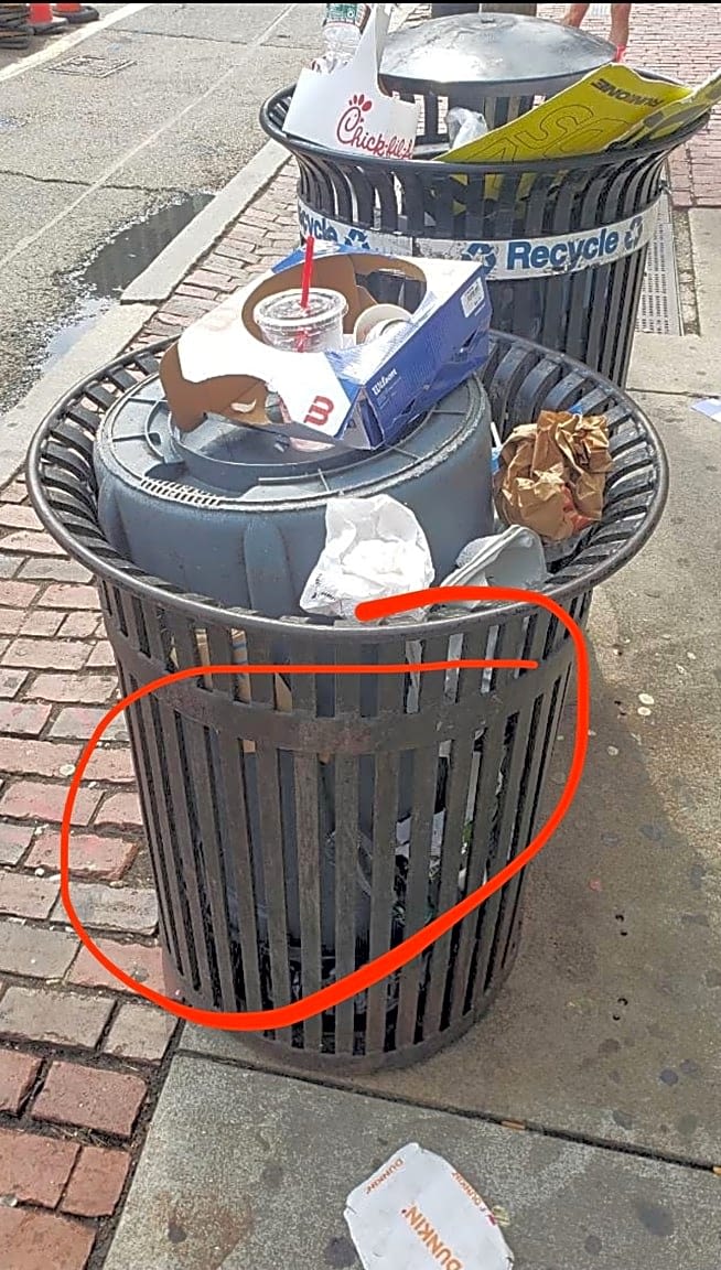 Image submitted with report