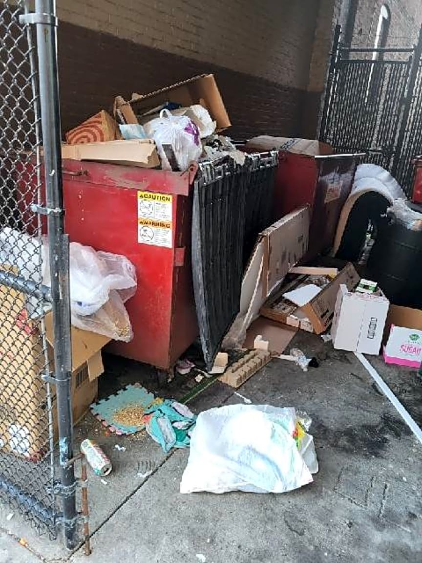 Image submitted with report