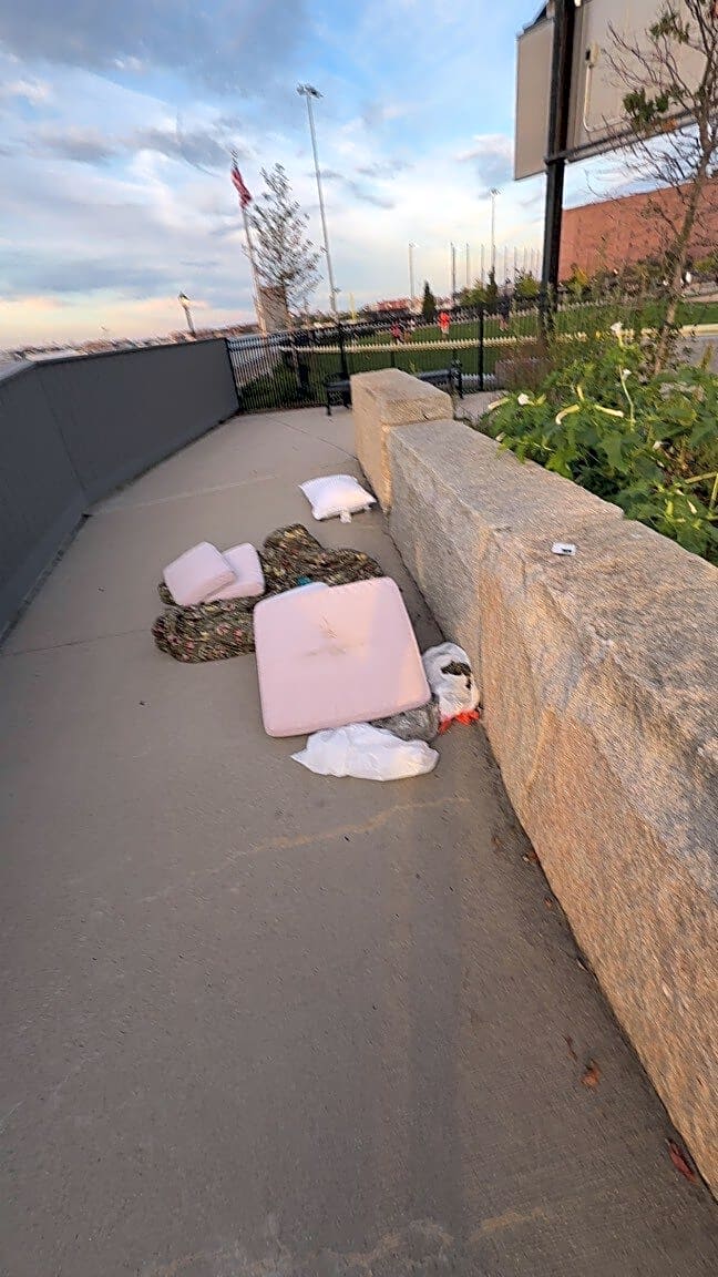 Image submitted with report