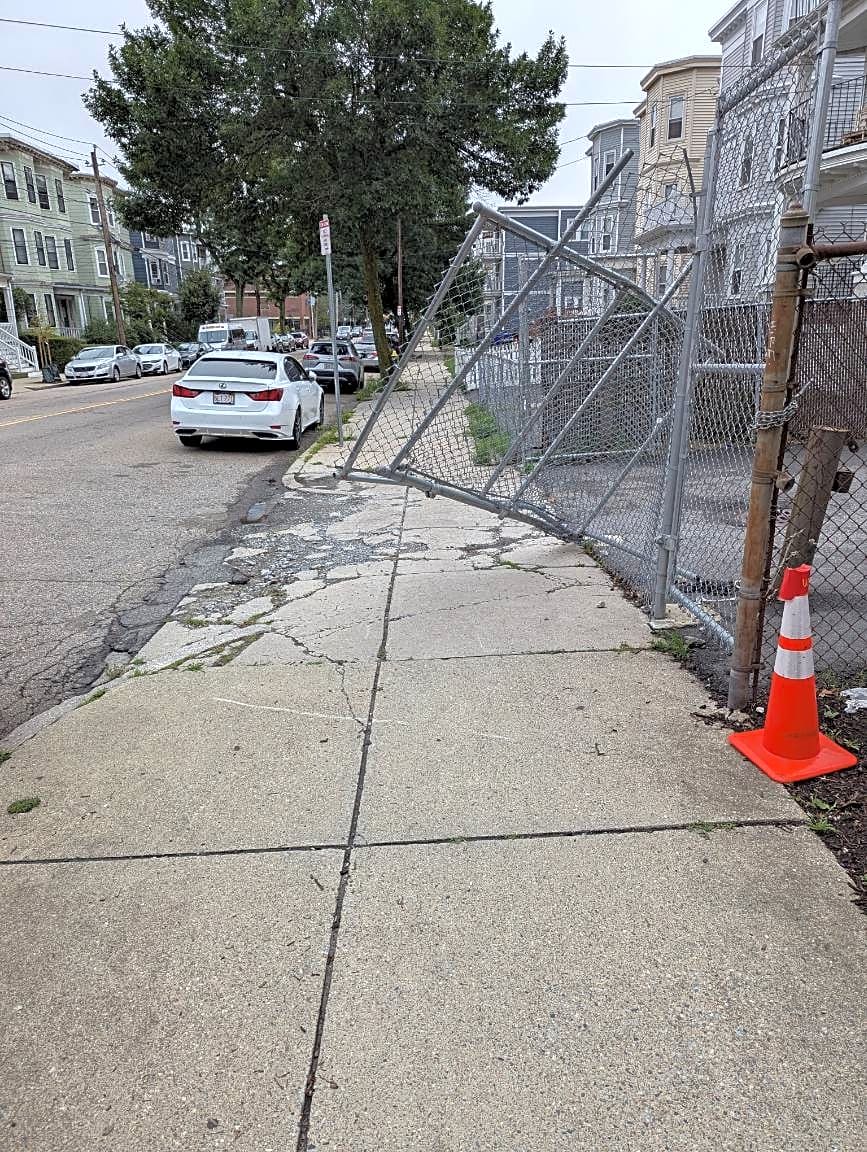 Image submitted with report