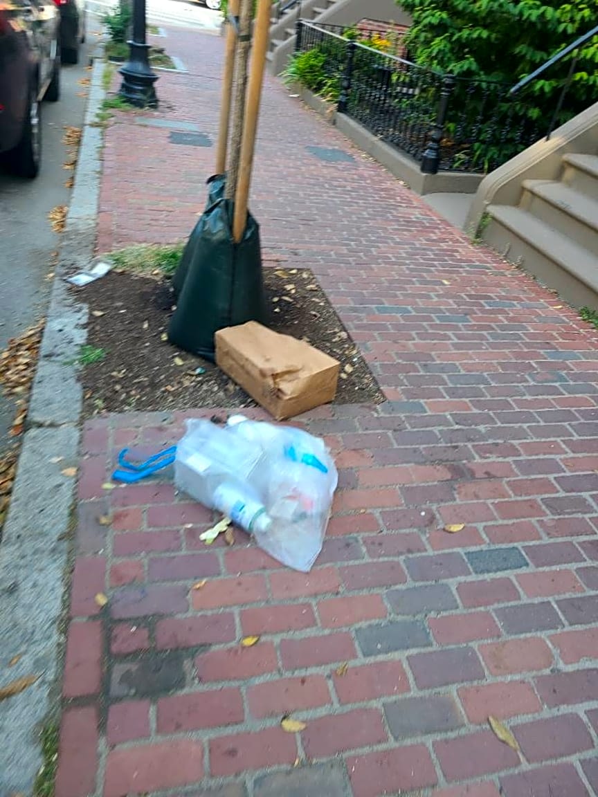 Image submitted with report