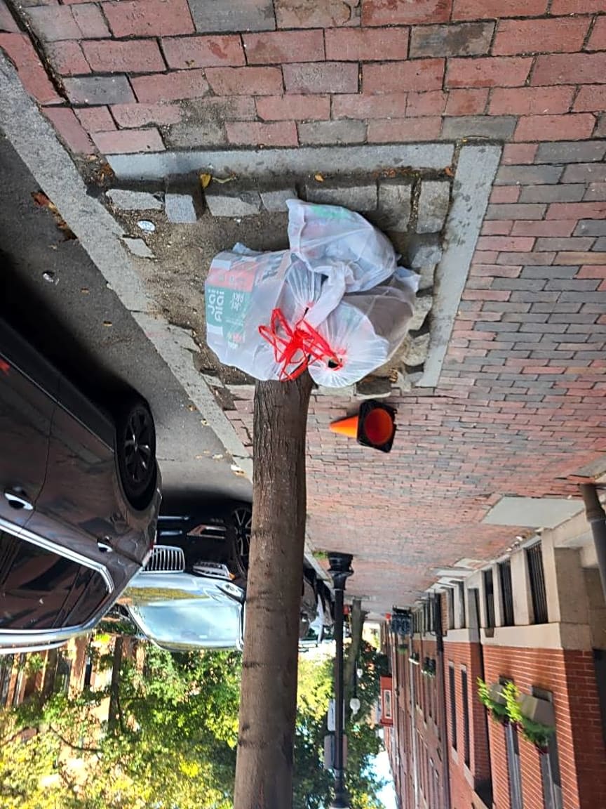 Image submitted with report